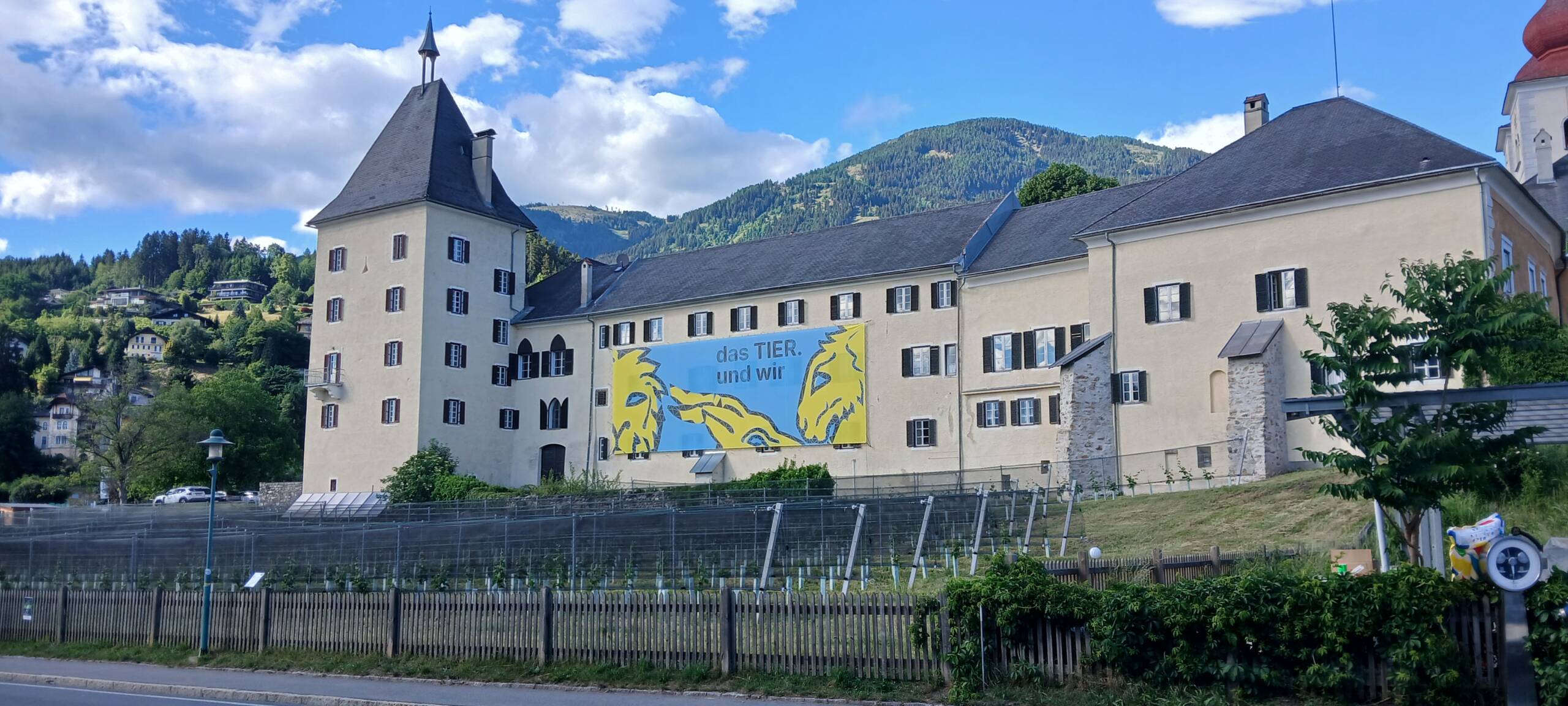 Kampagnendesign & Ausstellungskommunikation
